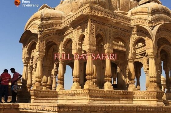 Full Day Desert Safari