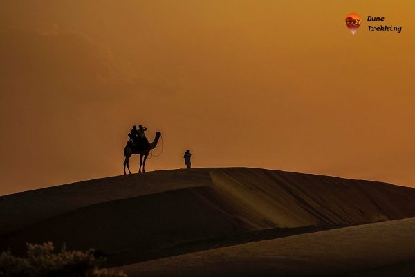Jaisalmer Day Tour- img 7- dunetrekking