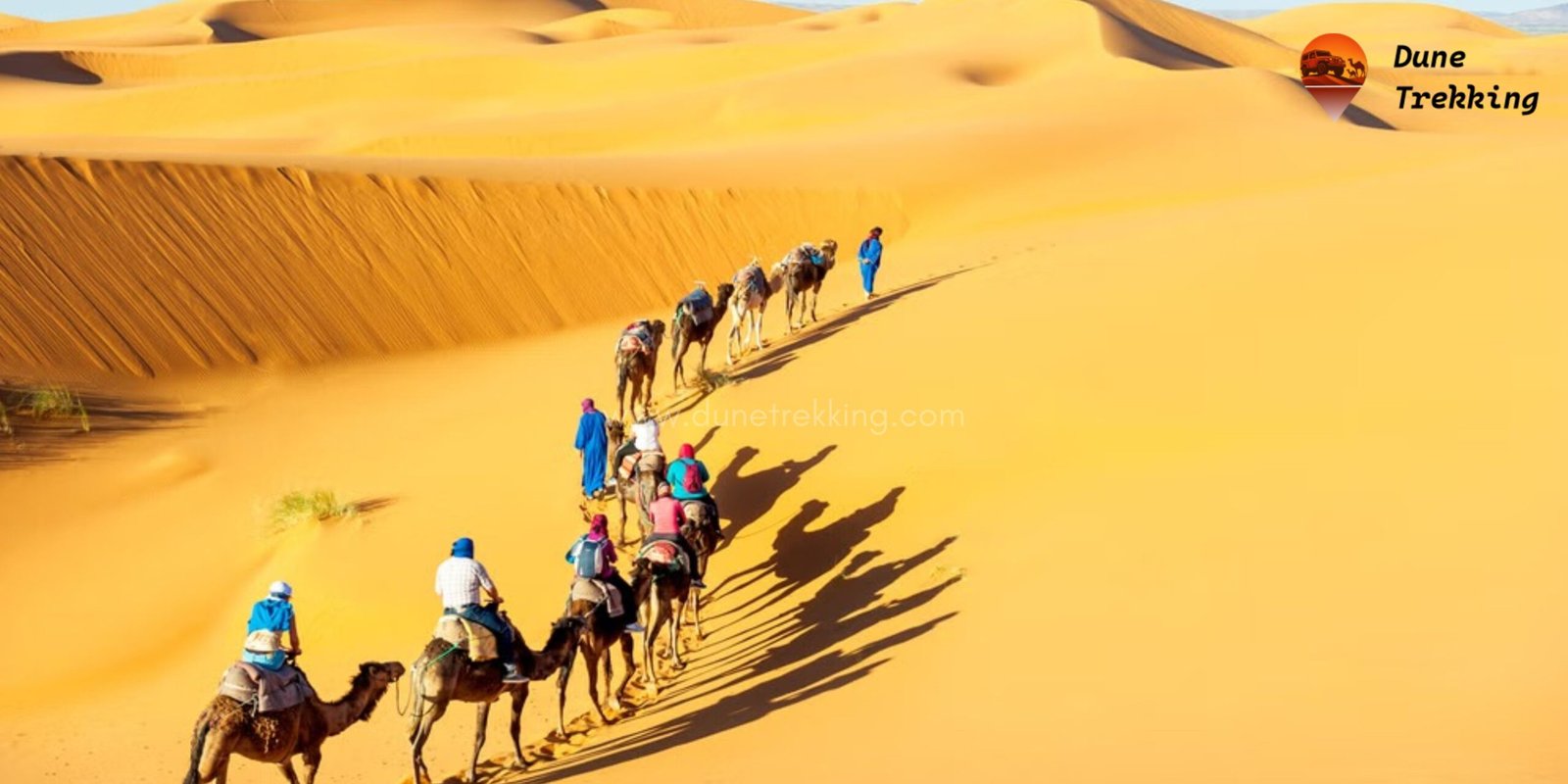 Why the Desert- dunetrekking.com