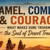 Camel, Compass & Courage What Makes Dune Trekking the Soul of Desert Travel- dune trekking